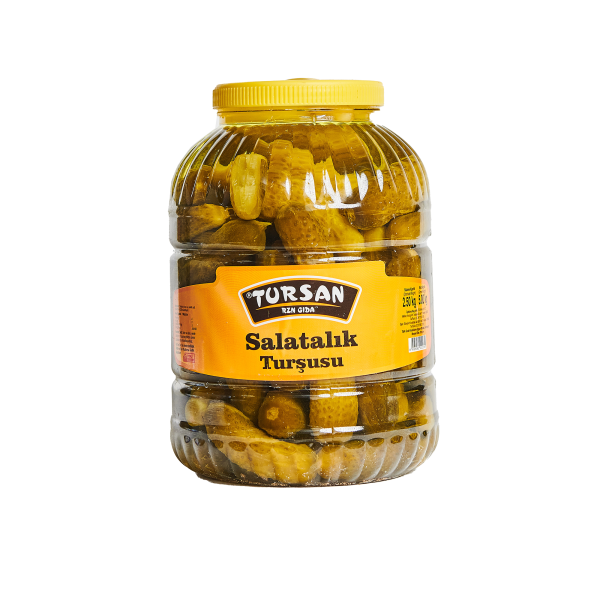 TURSAN TURŞU SALATALIK NO:2 2500 GR 