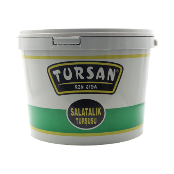 TURSAN TURŞU SALATALIK NO:00  KOVA 9 KG